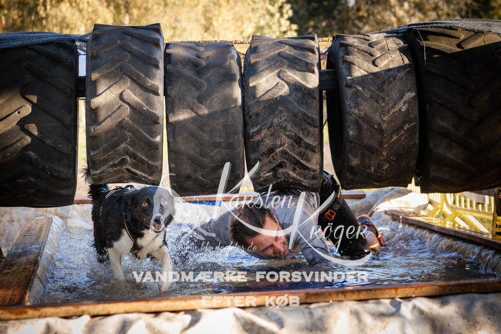 0912_ZZ90197 | kk-dogfotos