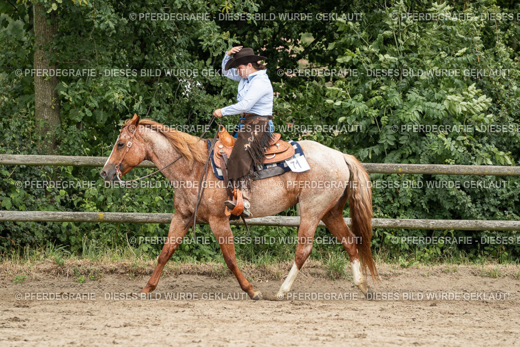 DSC04170 | Pferdegrafie