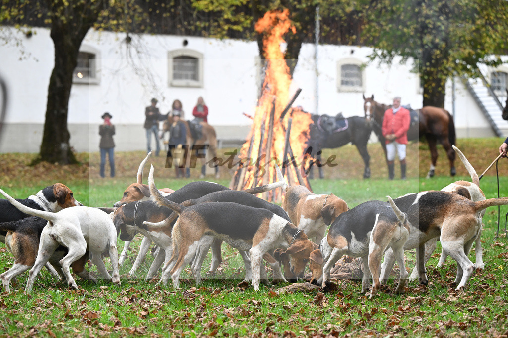 5622873 | hf-fotografie - Realisiert mit Pictrs.com