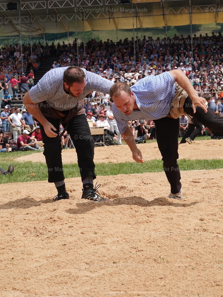 DSC04954 | Schwingen - Realisiert mit Pictrs.com