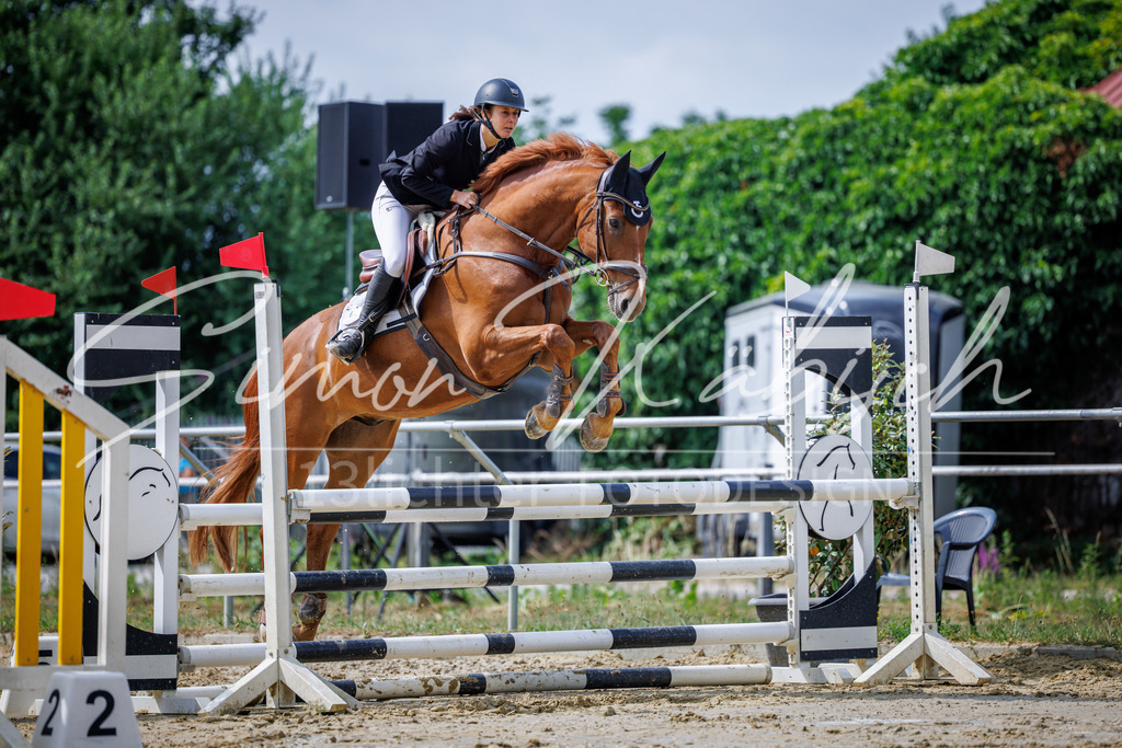 20260705-_3LI4195 | Tierfotografie Pferde, Hunde, Katzen, Haustiere.
Turnierfotografie Reitturniere, Reiten, Springreiten, Dressur in Hanau, dem Main-Kinzig-Kreis und dem Rhein-Main- Gebiet um Frankfurt