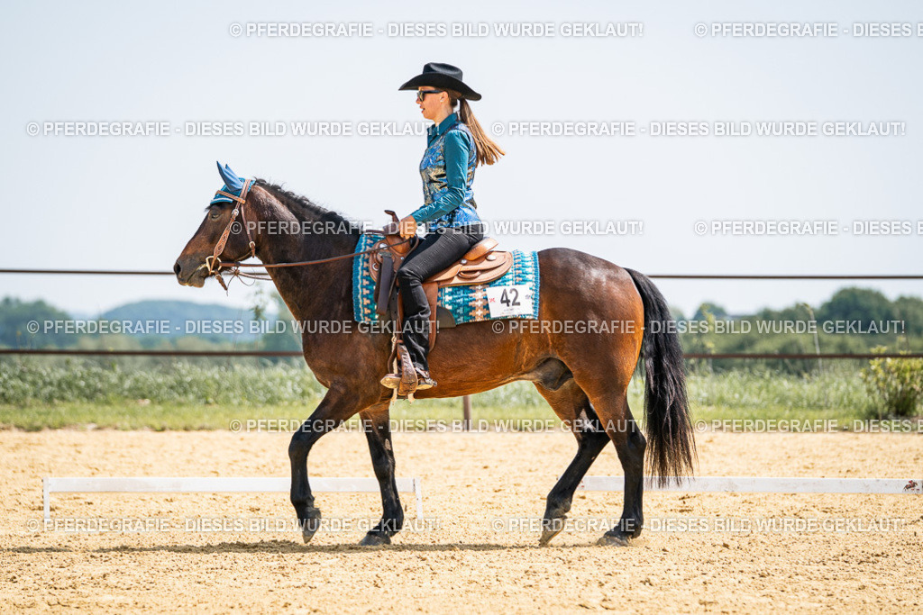 DSC00701 | Pferdegrafie