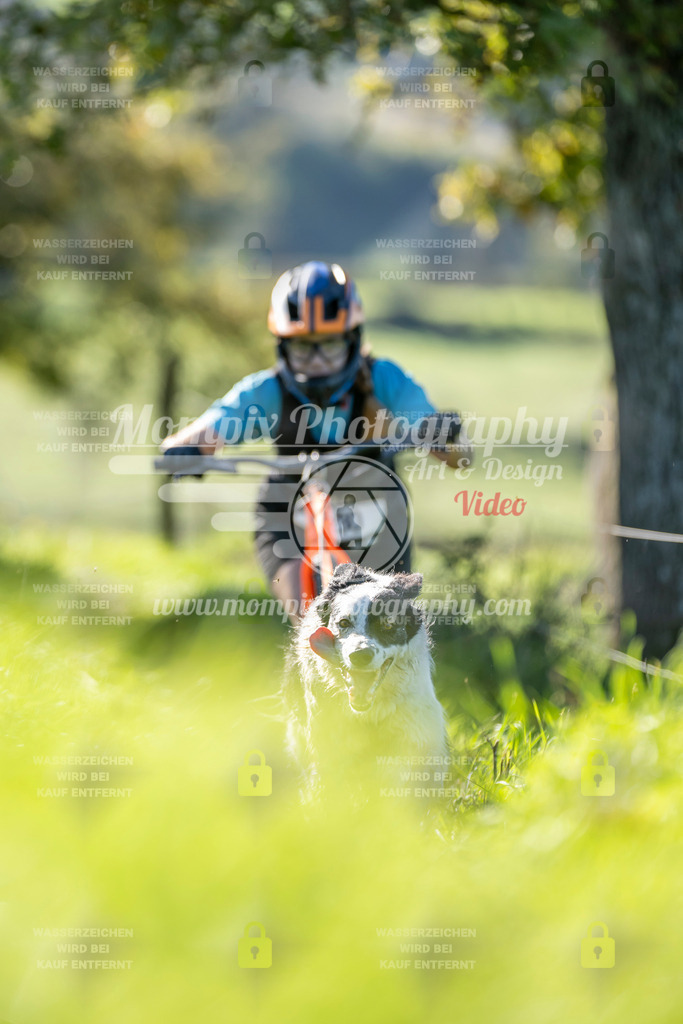 MompixPhotography_20TSB_E3_DS1-89 | PayLife