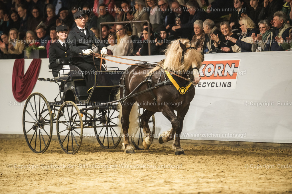 20240302_Hengstvorstellung_Marbach_TOMsPiC_0669 | equistock
