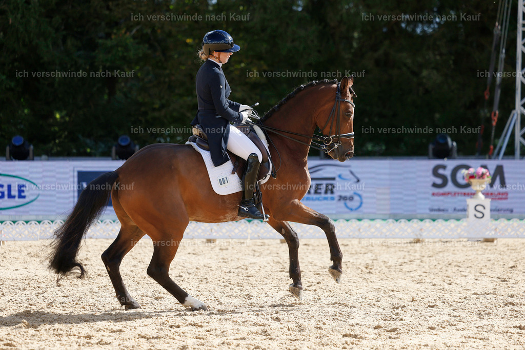 09_2-001-DRESSUR  S_  -StoibPH-5810 | working equitationturnier fotograf videograf stoibphotography marixx film working equitation deutschland reitsport turnierfotografie eventfotografie equestrian events