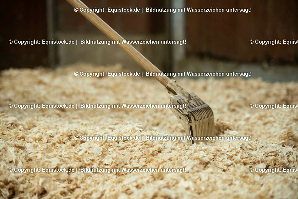 20190409_Einstreu_in_Pferdebox_0055 | Foto: Thomas Hartig