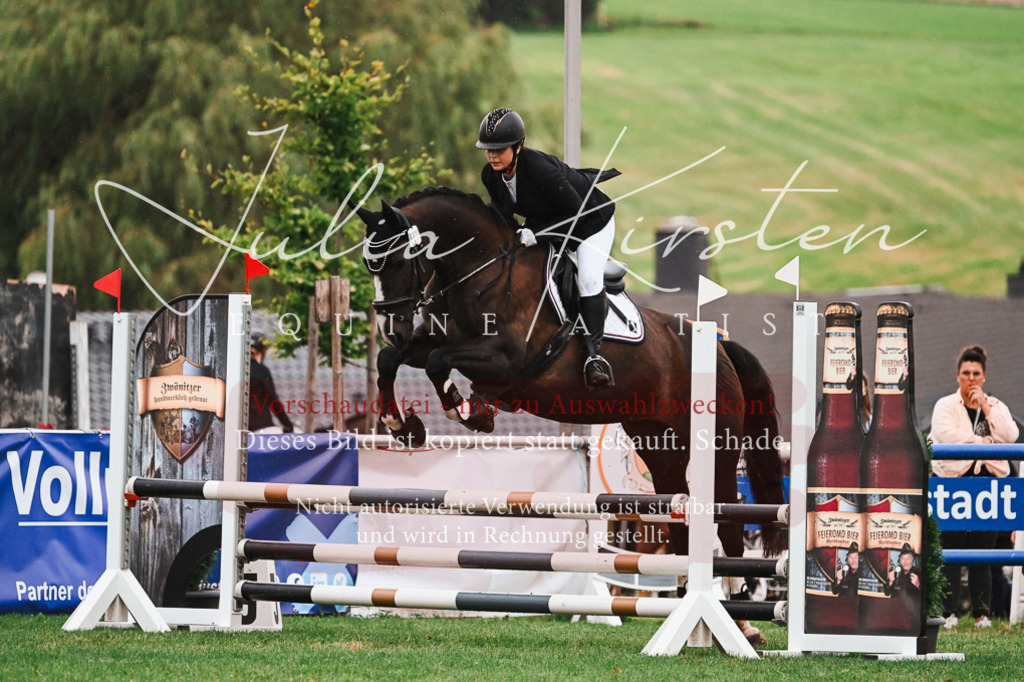 DSC_6313 | Pferde- und Turnierfotografie in Westsachsen. Pferdeportraits, Auftragszeichnungen und intuitive Kunst.