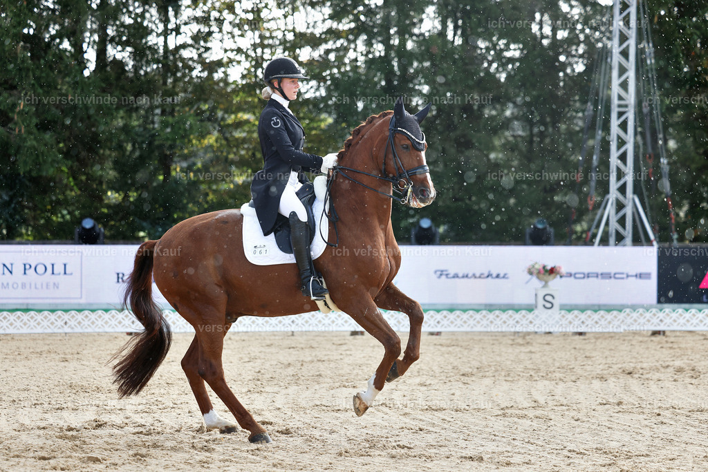 10-061-ST.GEORG SPECIAL -StoibPH-3153 | working equitationturnier fotograf videograf stoibphotography marixx film working equitation deutschland reitsport turnierfotografie eventfotografie equestrian events
