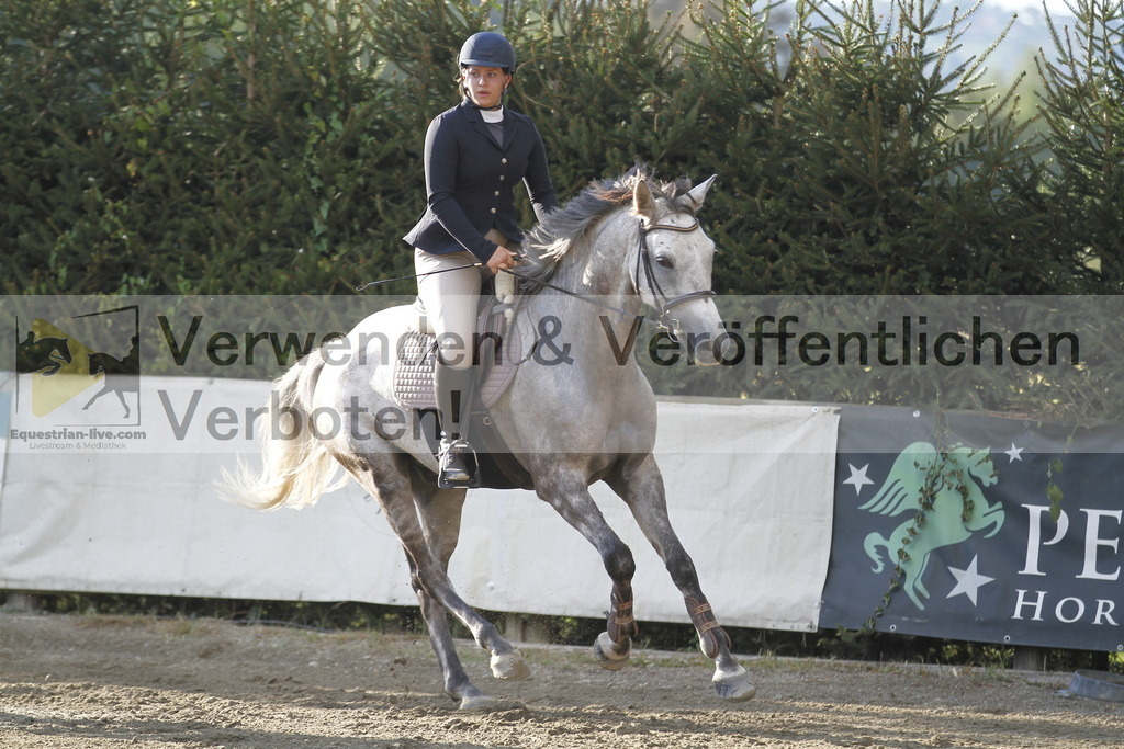 _MG_4178 | equestrian-live-com