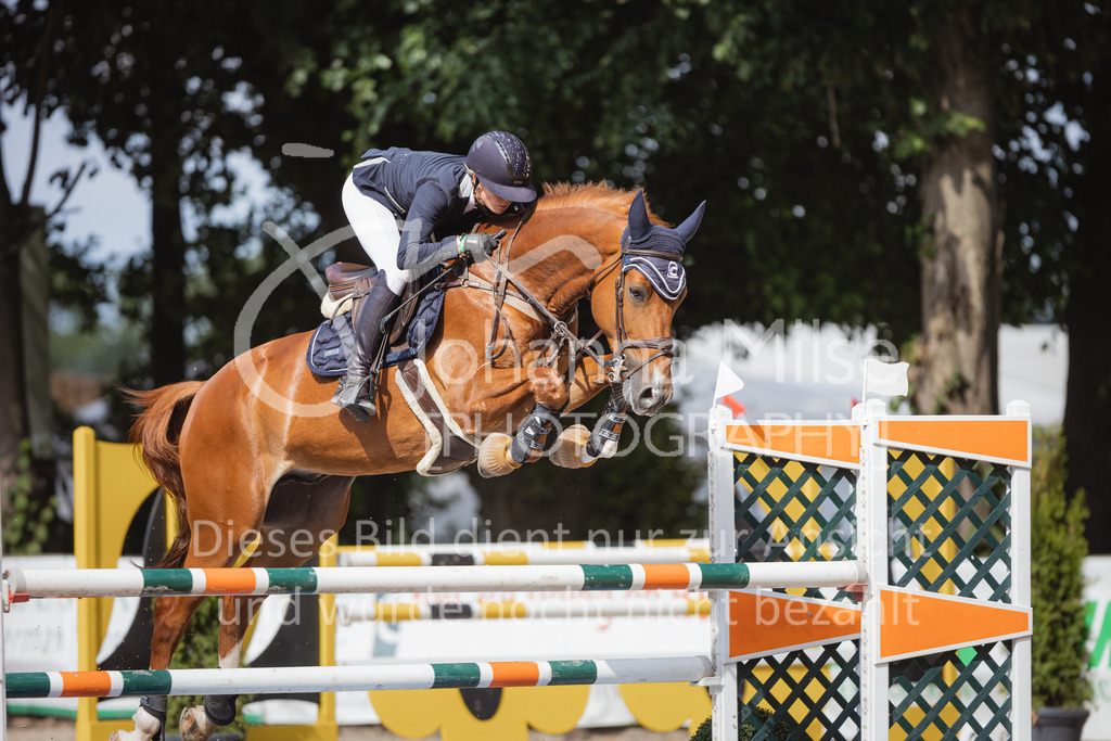 220705_Mühlen_SprPf-M-662 | Late Entry Mühlen
05.07.2022
06 Springpferdeprüfung Kl.M*