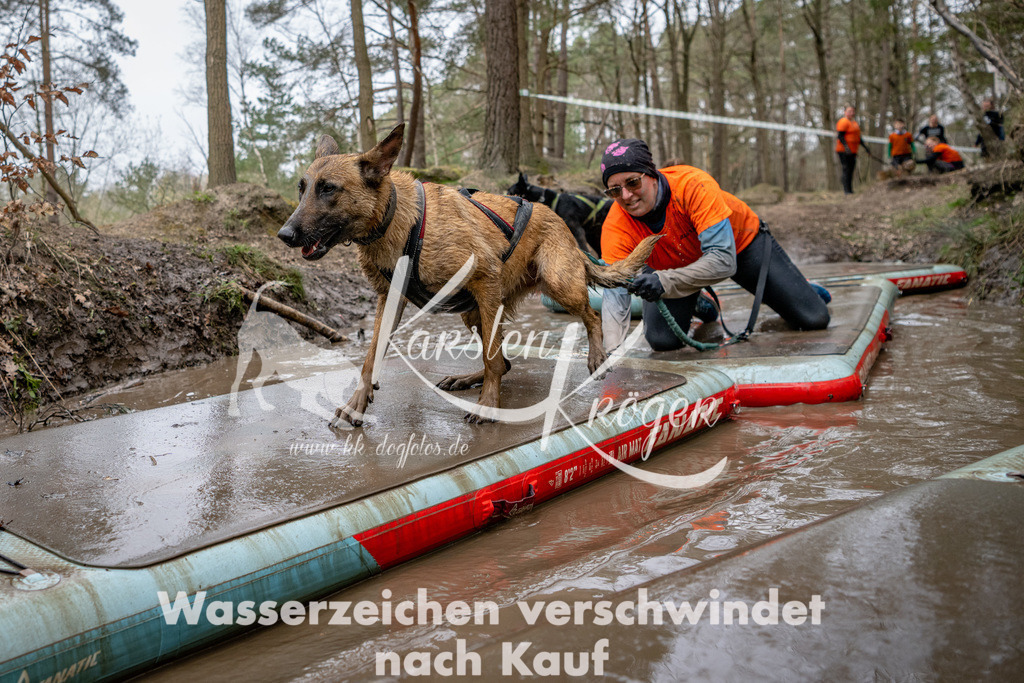 1238DSC_7408-2 | kk-dogfotos