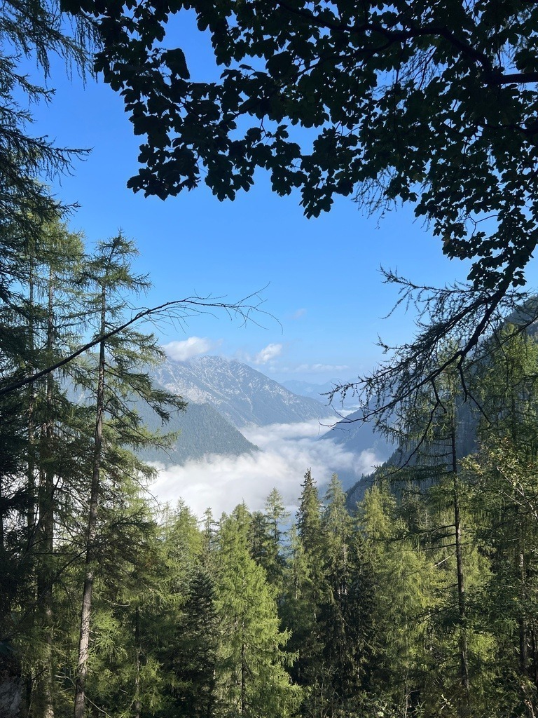 IMG_8442 | ace - Realisiert mit Pictrs.com