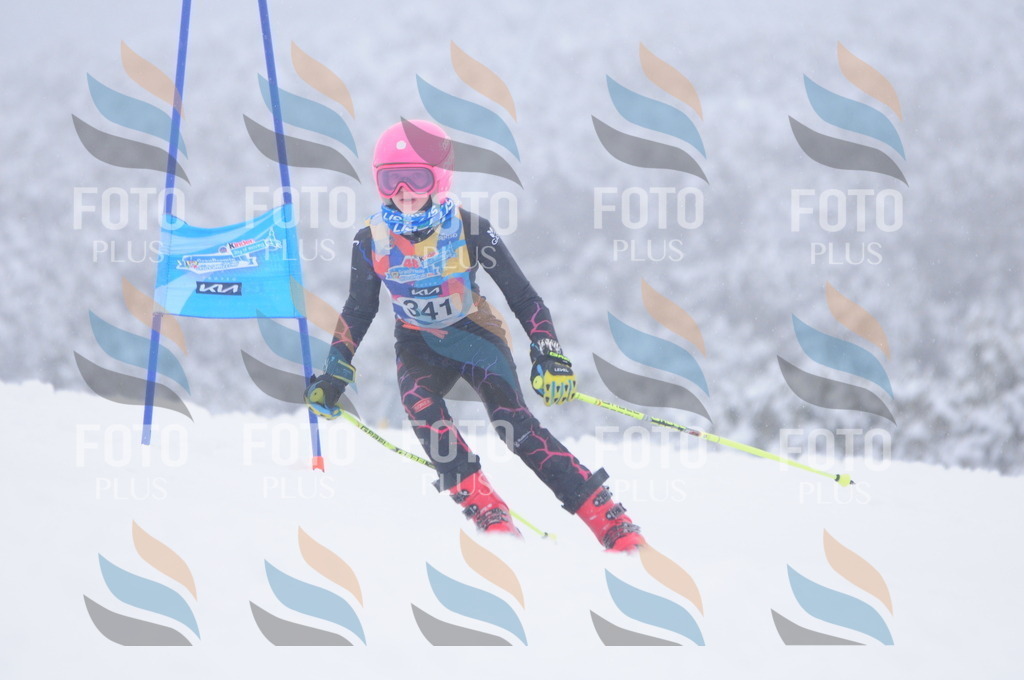 C3654 | holidayphoto