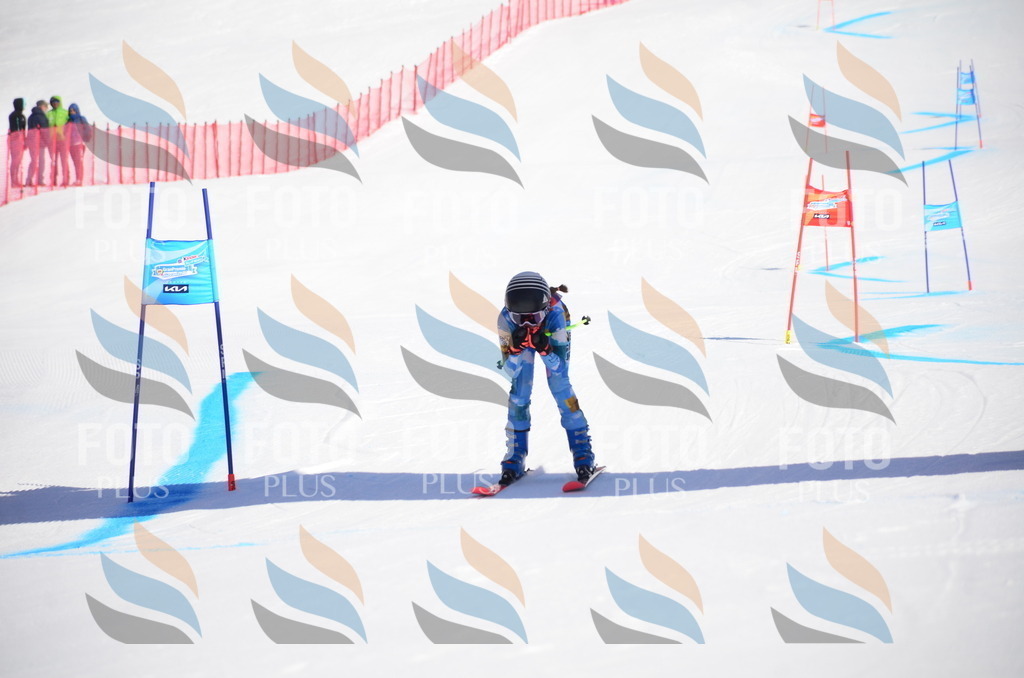 VR4_9271 | holidayphoto