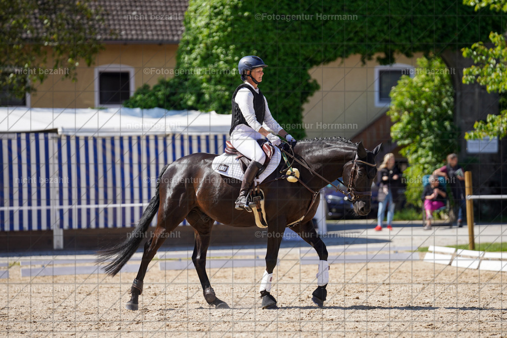 20240518-FAH03092 | rbilder, Turnierfotografen ayern, Fotoagentur Herrmann, Geländeturnier, Springbilder, Dressurbilder, Jungpferdefotograf