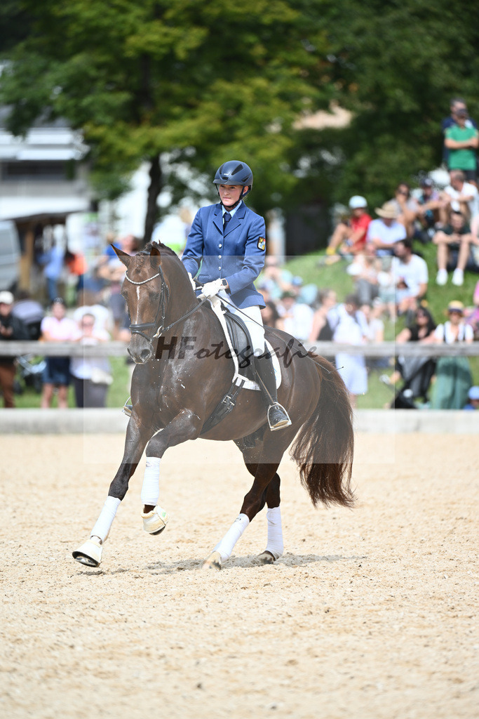 Hengste im Sport_36240221 | hf-fotografie - Realisiert mit Pictrs.com