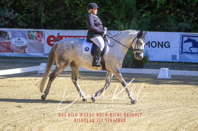 DKP41677 | Turniersportfotografie; Pferdefotografie; Dressurfotografie