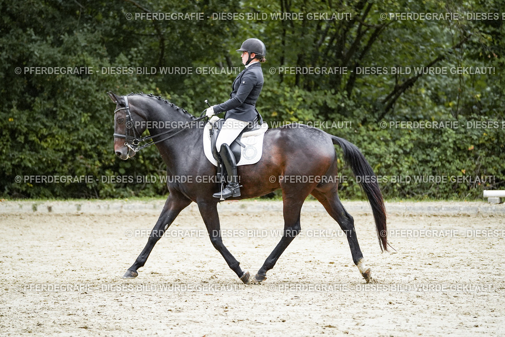 DSC00400 | Pferdegrafie