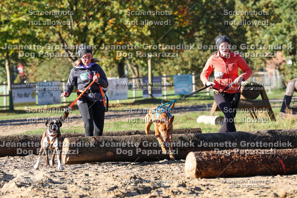 Dog Paparazzi - Strongdog 10-25-1380 | Dog Paparazzi Jeanette Grottendiek Fotografie & Videografie - Realisiert mit Pictrs.com