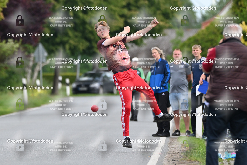 DSC_4774 | Oke Goldenstein / Stedesdorf