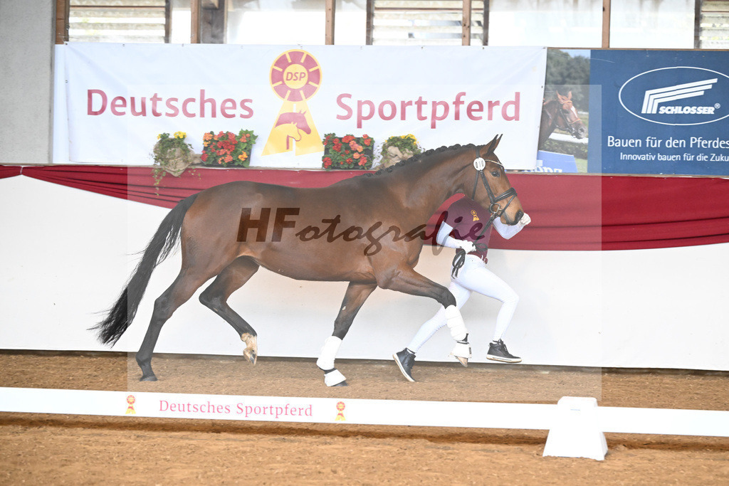 Kat-Nr. 10 Tessa tanzt v. Toto Jr_6 | hf-fotografie - Realizzato con Pictrs.com