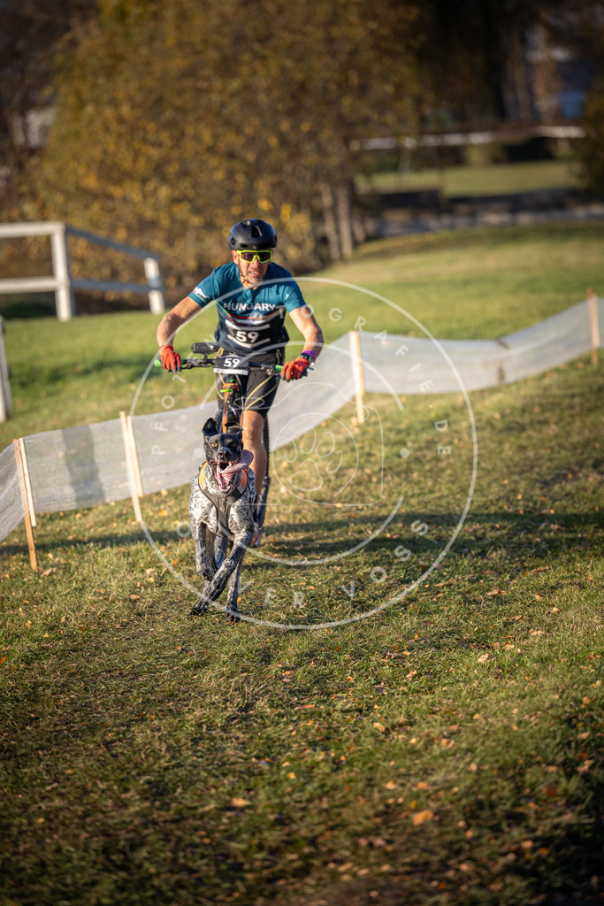 CaniXpix_DV3A0817 | Hundefotografie, Tierfotograf, Pfotenfotografie, Fotoshooting Hund, Hunde Portrait, Hundesport, Hundeportraits, Heideshooting, Hunde, Sportfotograf, Hundefotograf, Turnierhundsport, THS,  - Realisiert mit Pictrs.com