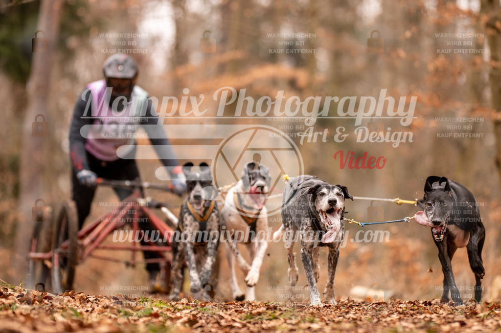 AKM_ST_2023_SAM_DR4-19 | PayLife