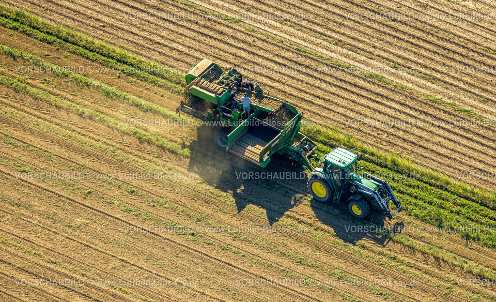 Heiligenhaus240813212 | Luftbild, Feldarbeit mit Traktor, nahe dem Golfplatz, Heiligenhaus, Ruhrgebiet, Nordrhein-Westfalen, Deutschland