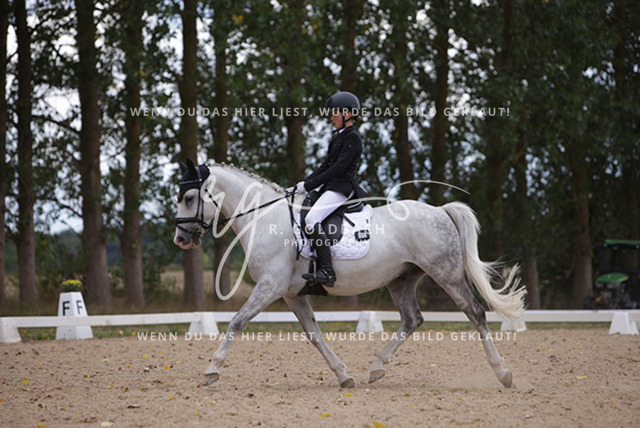 1J2A0857Charlotte Fehr_ Ikon 16_ Kn061_ Wöpkendorf_ Annalena Beier_ Quinn M_ Kn095 | Foto- und Videografie für alles rund ums Pferd. Hochwertige Bilder und Videos vom Spring- und Dressurreiten, Voltigieren & mehr. Jetzt aktuelle Veranstaltungen und Preise im Shop ansehen. - Realisiert mit Pictrs.com