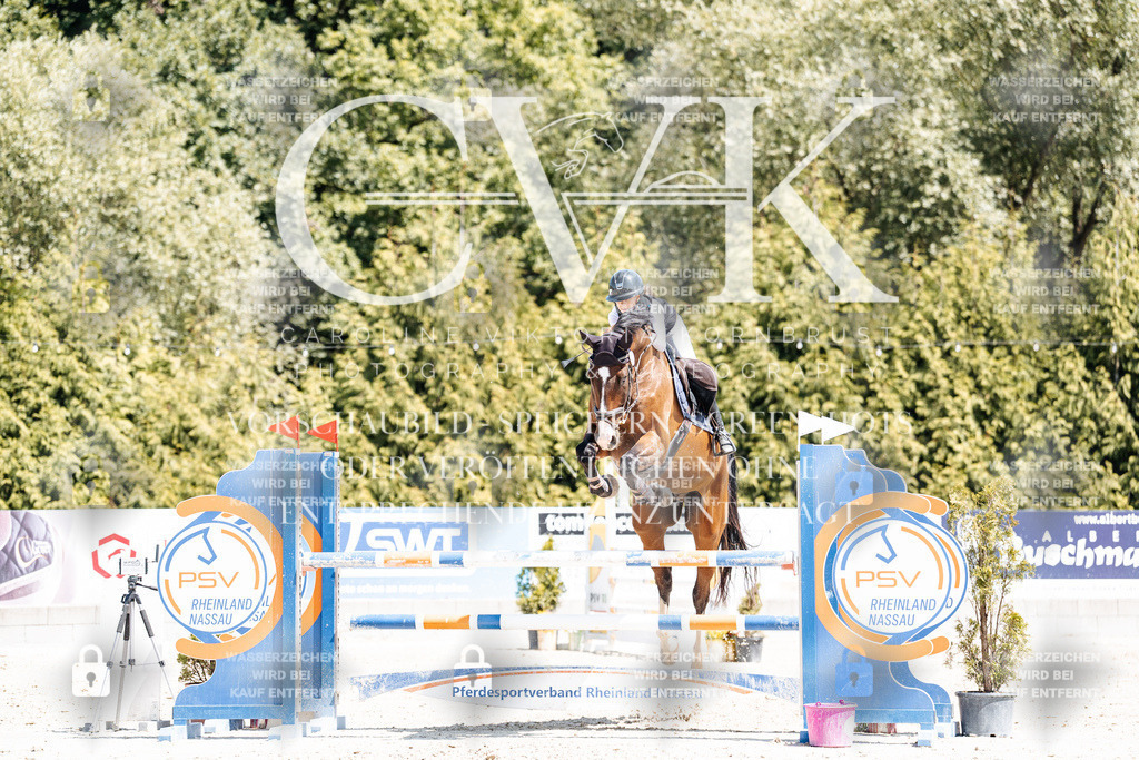 CK900352 | Turnierfotografie Pferdefotografie Trier Rheinland-Pfalz Pferdesport Reitsport Tierfotografie Sportfotografie Pferdevideo Pferdevideografie Equestrianvideography equestrianphotography  - Realisiert mit Pictrs.com