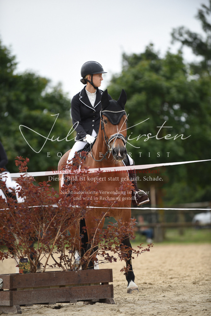 DSC_8223 | Pferde- und Turnierfotografie in Westsachsen. Pferdeportraits, Auftragszeichnungen und intuitive Kunst.