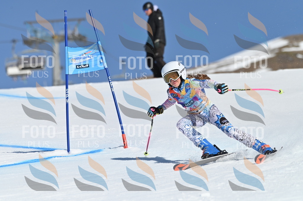 BGV_8375 | holidayphoto