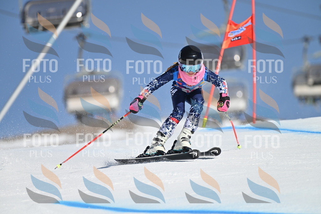 BGV_7895 | holidayphoto