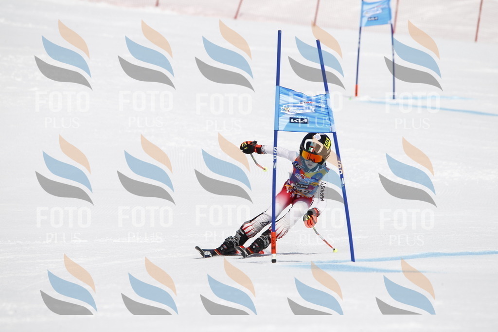 _U3G5466 | holidayphoto