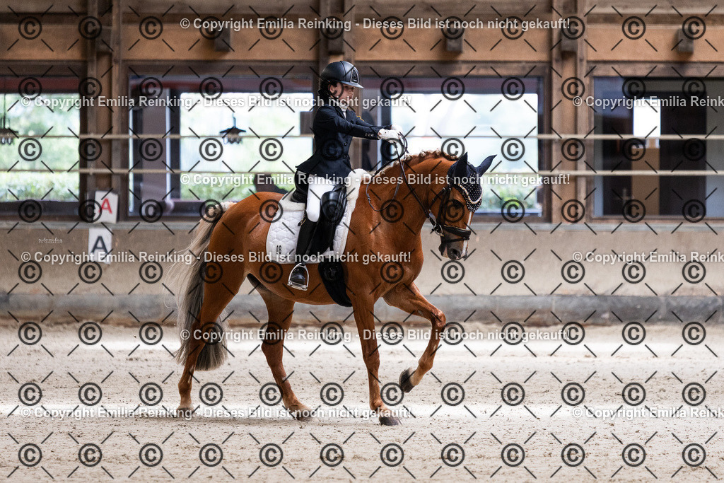 CL5A3836 | Emilia Reinking Fotografie - Realisiert mit Pictrs.com