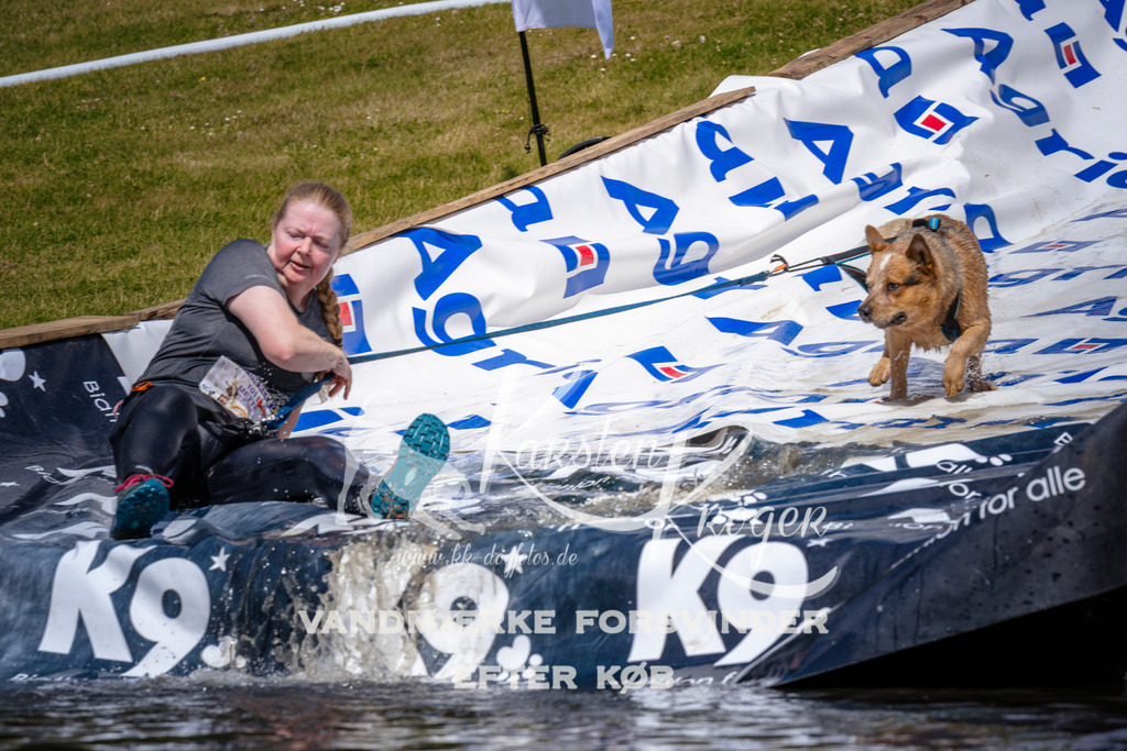 _ZZ966931020 | kk-dogfotos