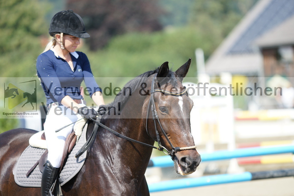 DSC01577 | equestrian-live-com