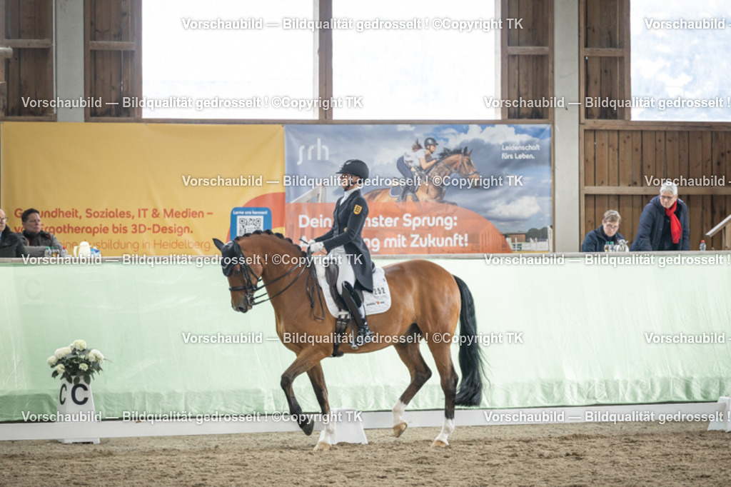 _D5A5918 | Emotionale Pferde- & People-Fotografie rund um Heidelberg, Leimen & Umgebung. Natürliche Fotos von Pferd, Mensch & Familie. Jetzt Termin sichern!