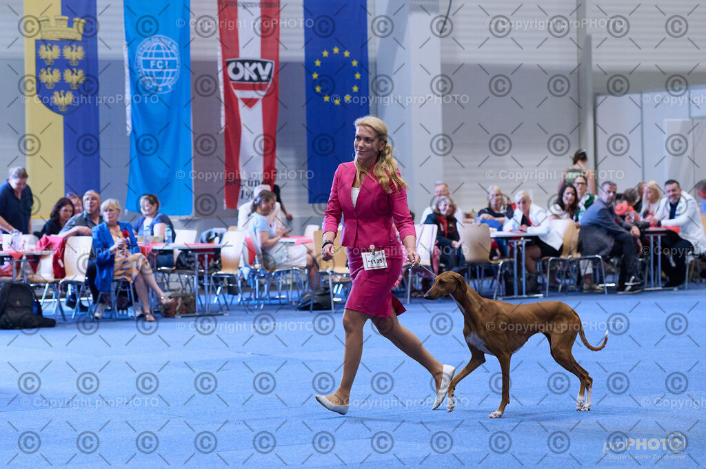 202406_ÖKV-IHA-Tulln24_DSC_4263 | proPHOTO - Realisiert mit Pictrs.com