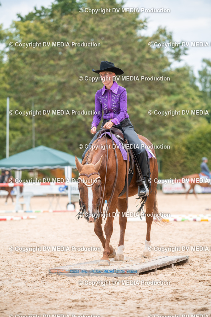 ZS2_8172 | dv-media-shop - Realisiert mit Pictrs.com