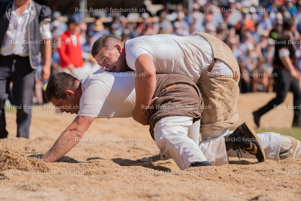 DSC07019-3 | René Burch leidenschaftlicher Fotograf aus Kerns in Obwalden.  Hier finden sie Sport, Landschaft und Natur Fotografie.
 - Realisiert mit Pictrs.com