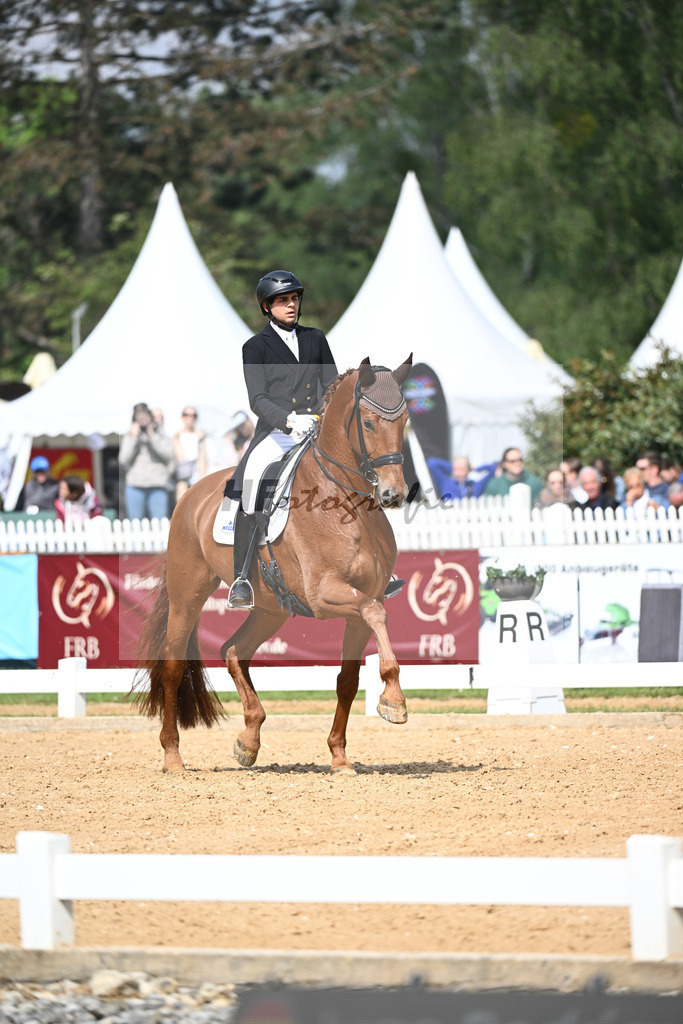 Carvajal_Meggles Verdi_12240151 | hf-fotografie - Realisiert mit Pictrs.com