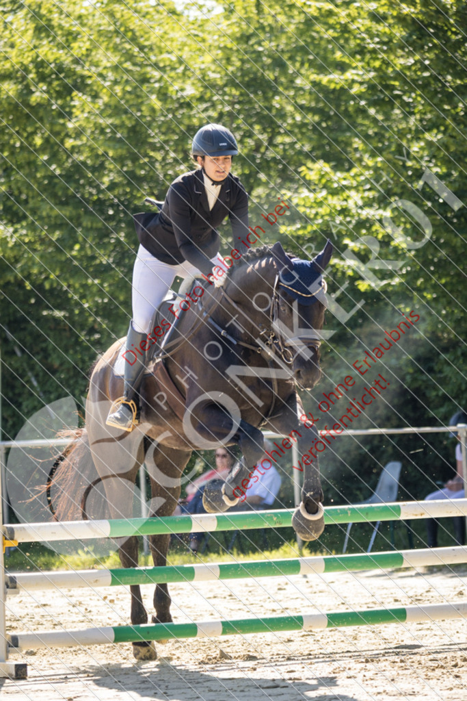 IMG_2732 | Sport-, Event- und Tierfotos in Profiqualität. Einfach auswählen, bestellen und herunterladen. Dein Moment – perfekt festgehalten.