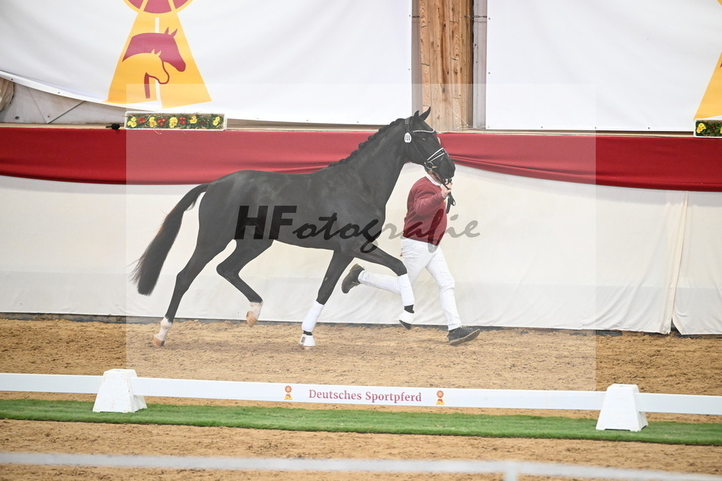Kat.-Nr. 50 v. Donier_Meyer_2250182 | hf-fotografie - Realisiert mit Pictrs.com