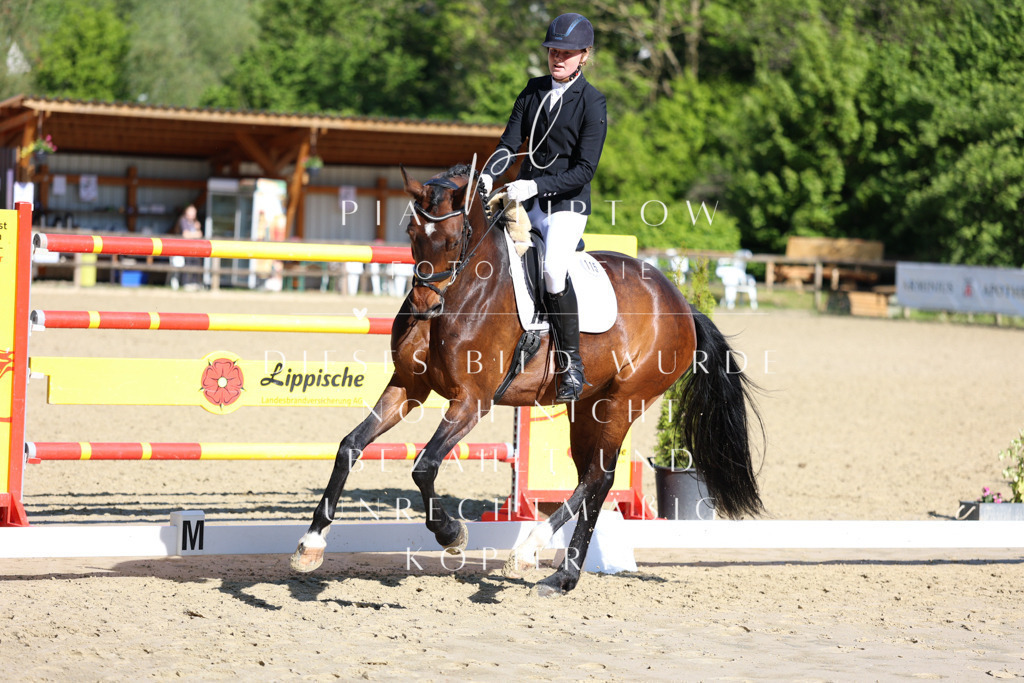 IMGT9884 | pl-fotografie