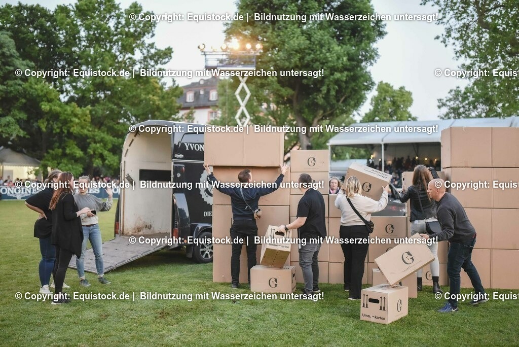 20230526_Pferdenacht_0816 | equistock