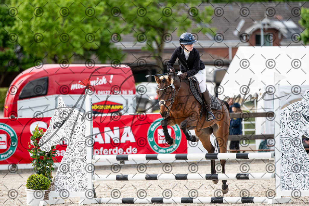 KPT_7093 | andre_photographic