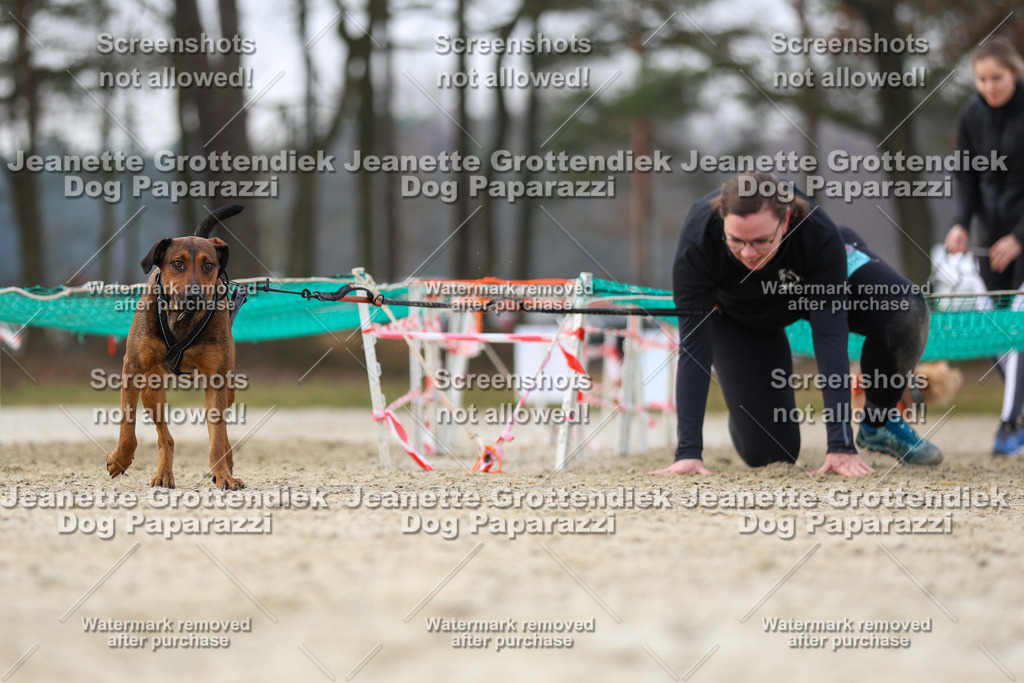 Dog Paparazzi - Strongdog North Mrz26-4459 | Dog Paparazzi Jeanette Grottendiek Fotografie & Videografie - Realisiert mit Pictrs.com