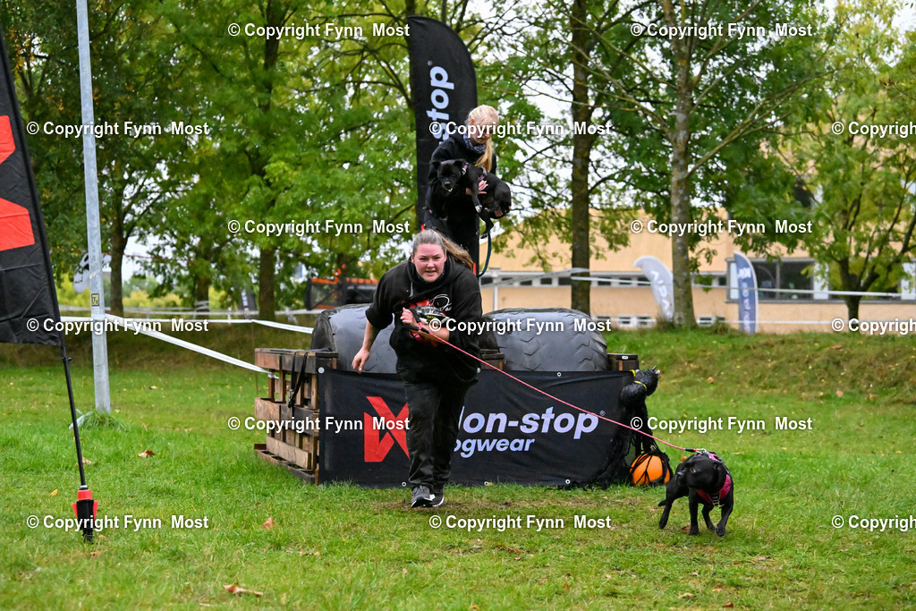 DSC_1152 | Hallo und herzlich Willkommen auf meiner Shop-Seite Fynn Most.

Ich wünsche Dir viel Spaß beim stöbern durch die Bilder, wenn Du Fragen hast oder Bilder vermisst, kannst du mir gerne eine Nachricht schreiben. - Realisiert mit Pictrs.com