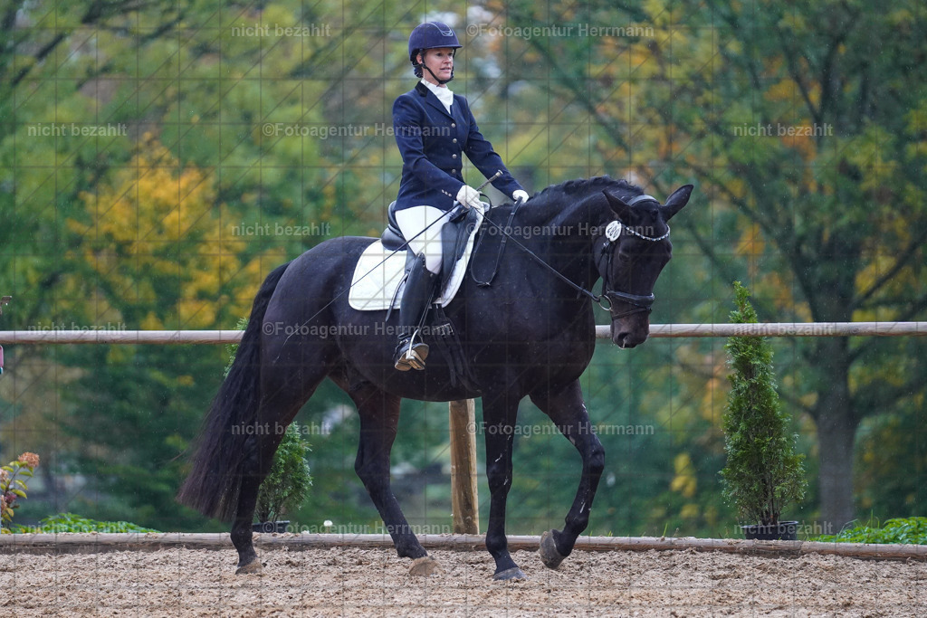 20221008-FAH02170 | Diessen am Ammersee, 2022, Dressur- und Springturnier, Reitsportbilder, Turnierfotografen Bayern, Pferdefotografen, Fotoagentur Herrmann, Turnierbilder